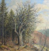 Hammer, Max (20. Jahrhundert, Ulm) "Waldstück", Blick auf großen Baum, davor eine Dame auf einer Ba