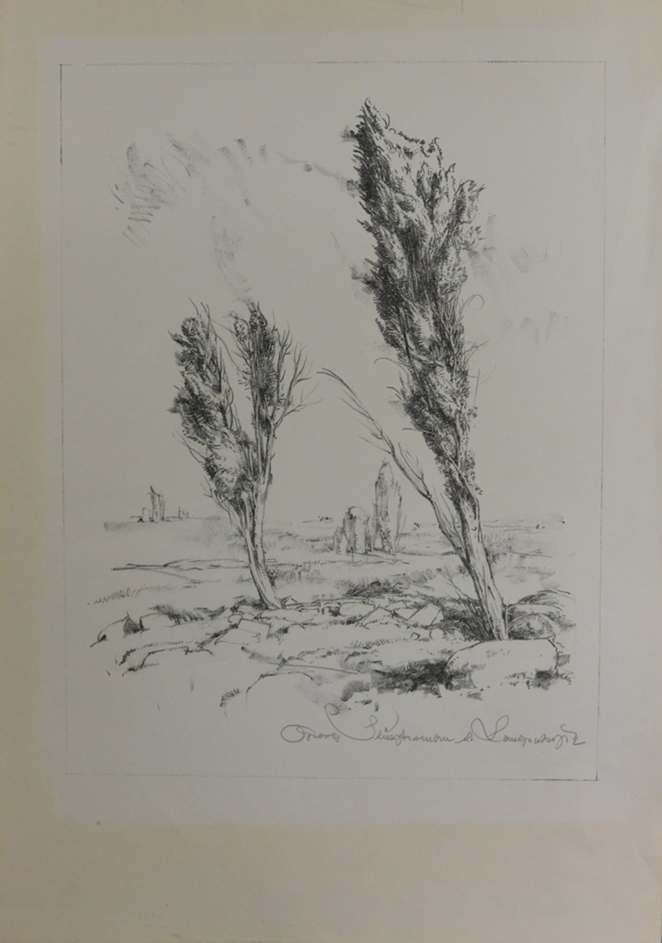 Unbekannt (20. Jahrhundert), "Moorlandschaft", Lithographie,