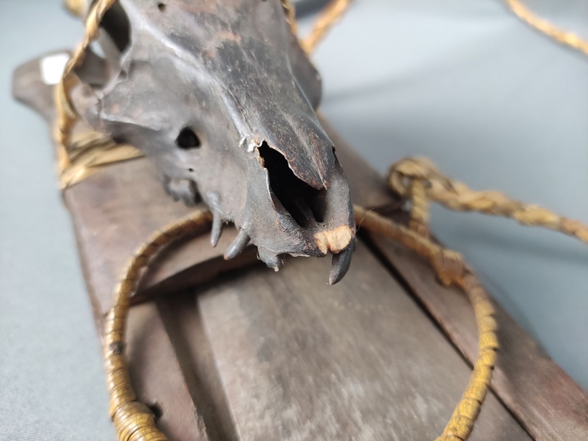 Machete, in wooden scabbard with carved animal head, mounted animal skull, brown lacquered, straw - Image 3 of 3