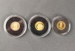 3 Goldmünzen/Medaillen, bestehend aus 1500 Francs, Albert Einstein, 1/25 Unze, Feingold, Durchmesse