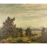 Geißler, Hugo (1895-1956 Tuttlingen) "Hegau Landschaft", mit Vulkanen im Hintergrund, Öl auf Leinwa