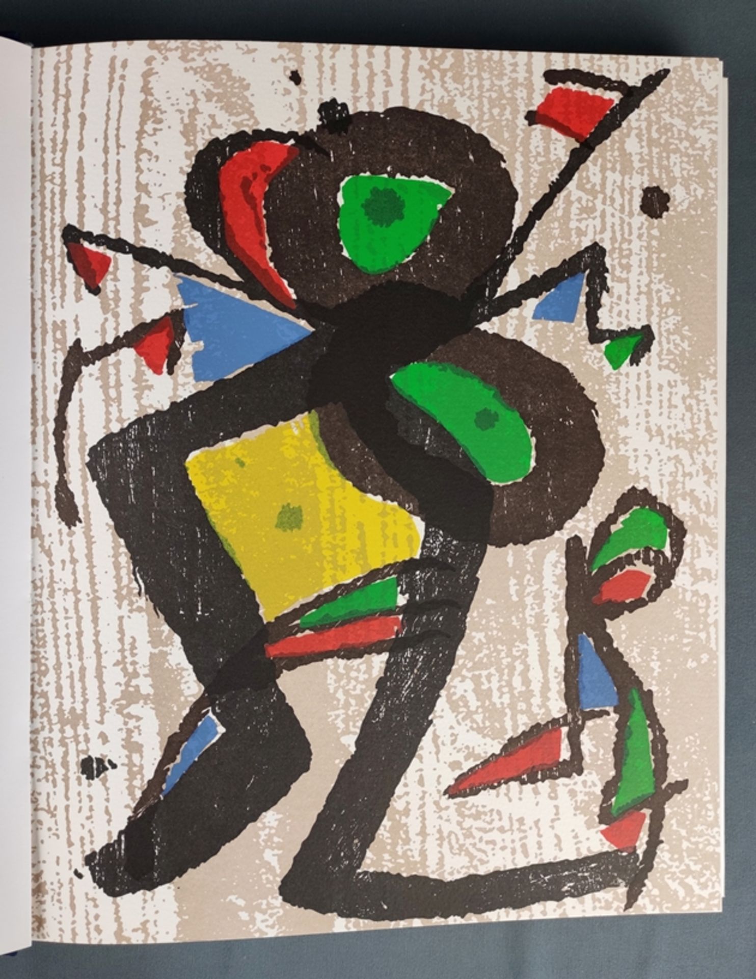 Kunstband Miró, 3 Bände Radierungen, "Joan Miró - Graveur" (Band I-III), Dupin, Jacques, Original-R - Bild 5 aus 11