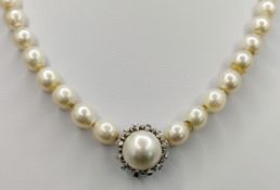 Pearl necklace, choker, pearl diameter around 7mm, 585/14K white gold clasp, J. Köhle, total weight