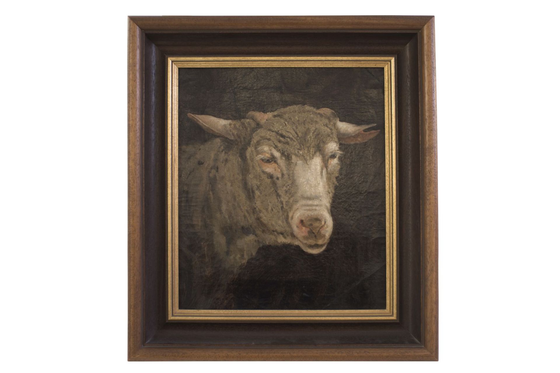 Painter end of the 19th century "Sheep's head"