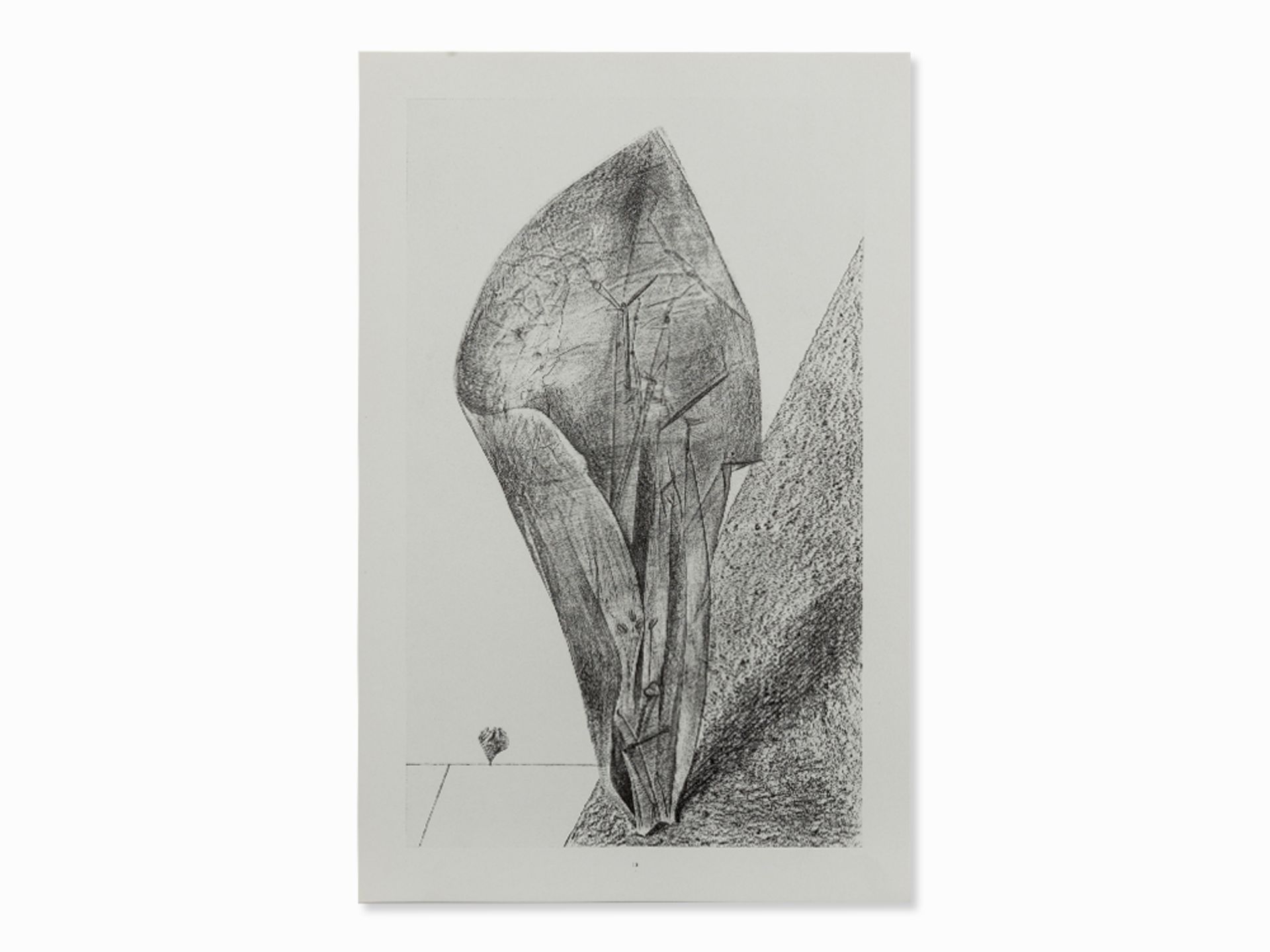 Max Ernst (1891-1976), Histoire Naturelle, Portfolio, 1972 - Image 5 of 28