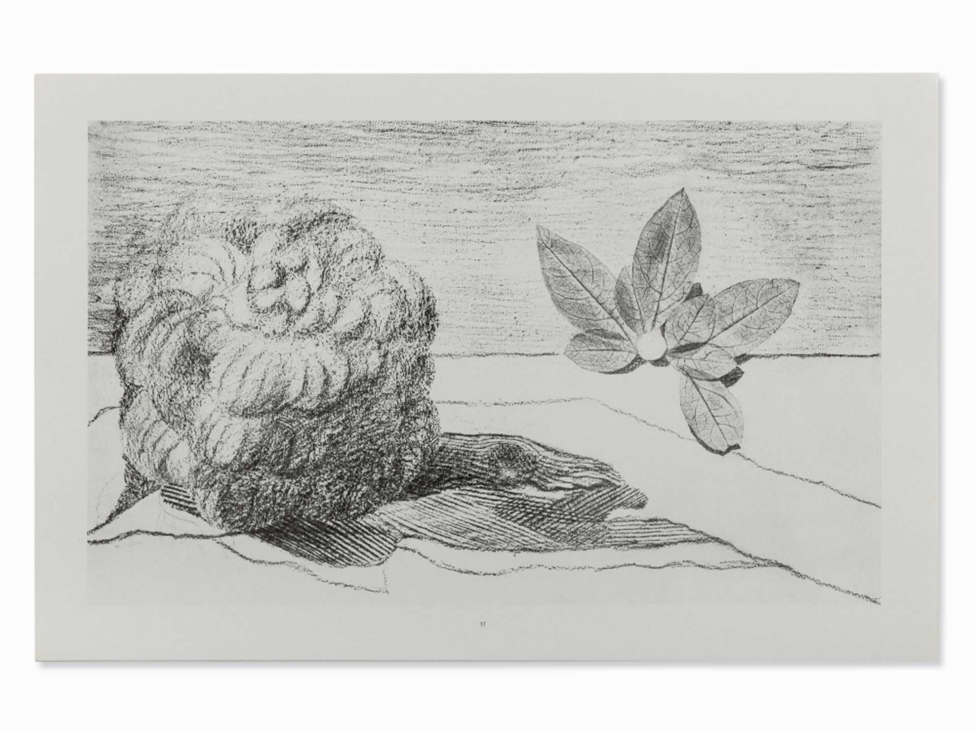 Max Ernst (1891-1976), Histoire Naturelle, Portfolio, 1972 - Image 13 of 28