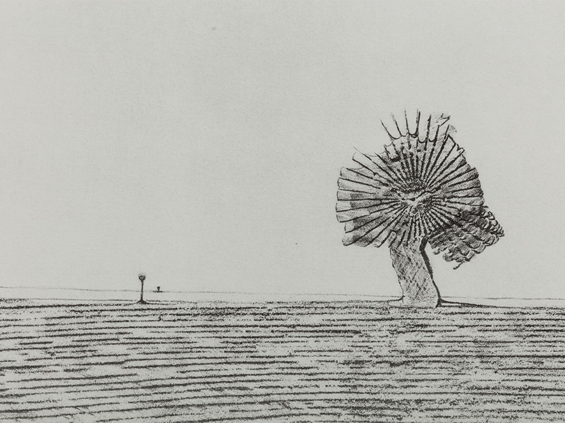 Max Ernst (1891-1976), Histoire Naturelle, Portfolio, 1972 - Image 11 of 28