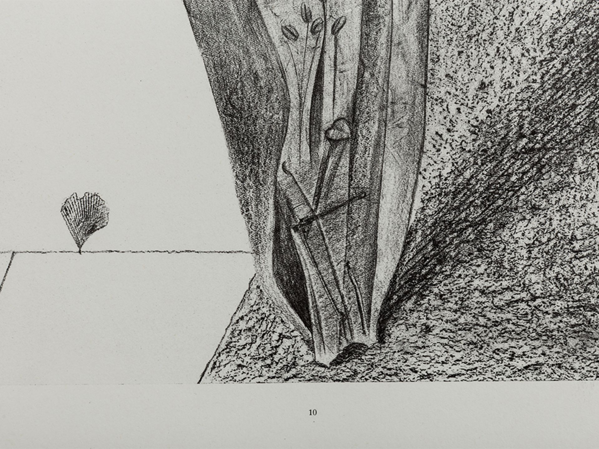 Max Ernst (1891-1976), Histoire Naturelle, Portfolio, 1972 - Image 8 of 28