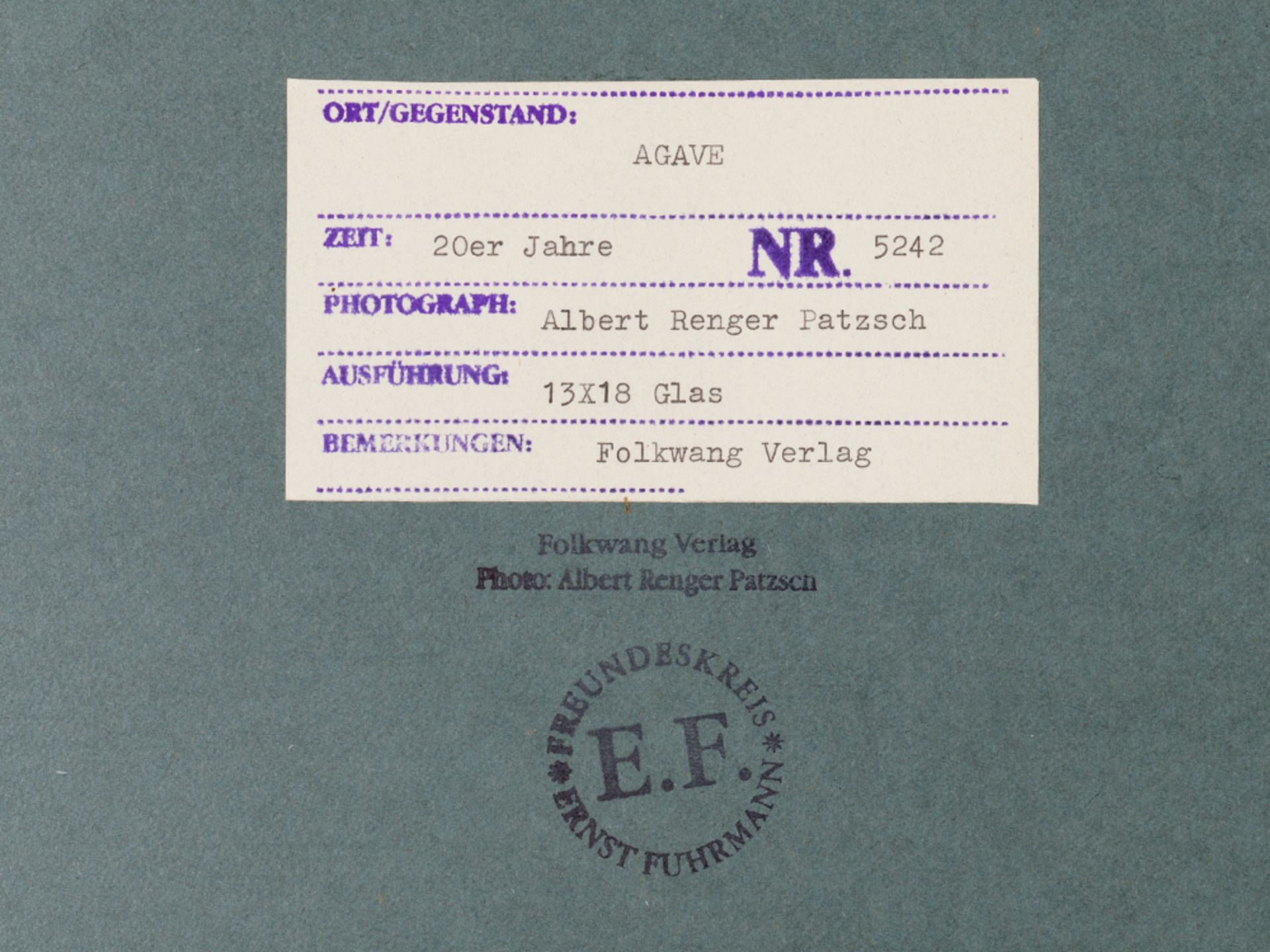 Albert Renger-Patzsch, Macro Photograph of an Agave, 1920s - Image 5 of 8