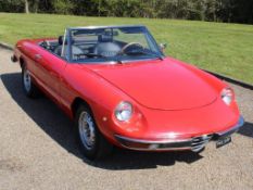 1976 Alfa Romeo 1300 Spider Series 2 LHD