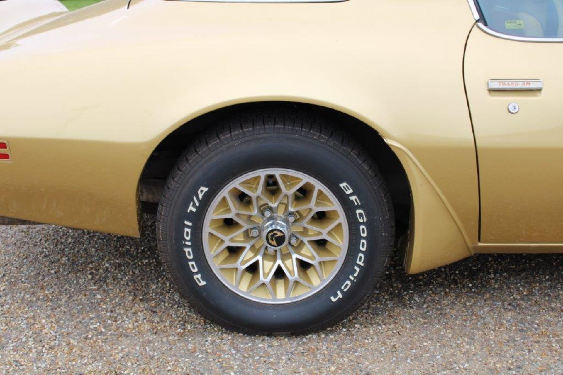 1979 Pontiac Firebird Trans Am LHD - Image 7 of 39