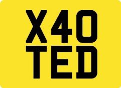 X40 TED Registration Number