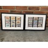 Framed Set Of Eighteen Motor Racing Cigarette Cards By Graham Turner