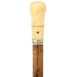 A SUBSTANTIAL EARLY 18TH CENTURY WALKING CANE, the domed ivory pommel pierced for a tassel, white