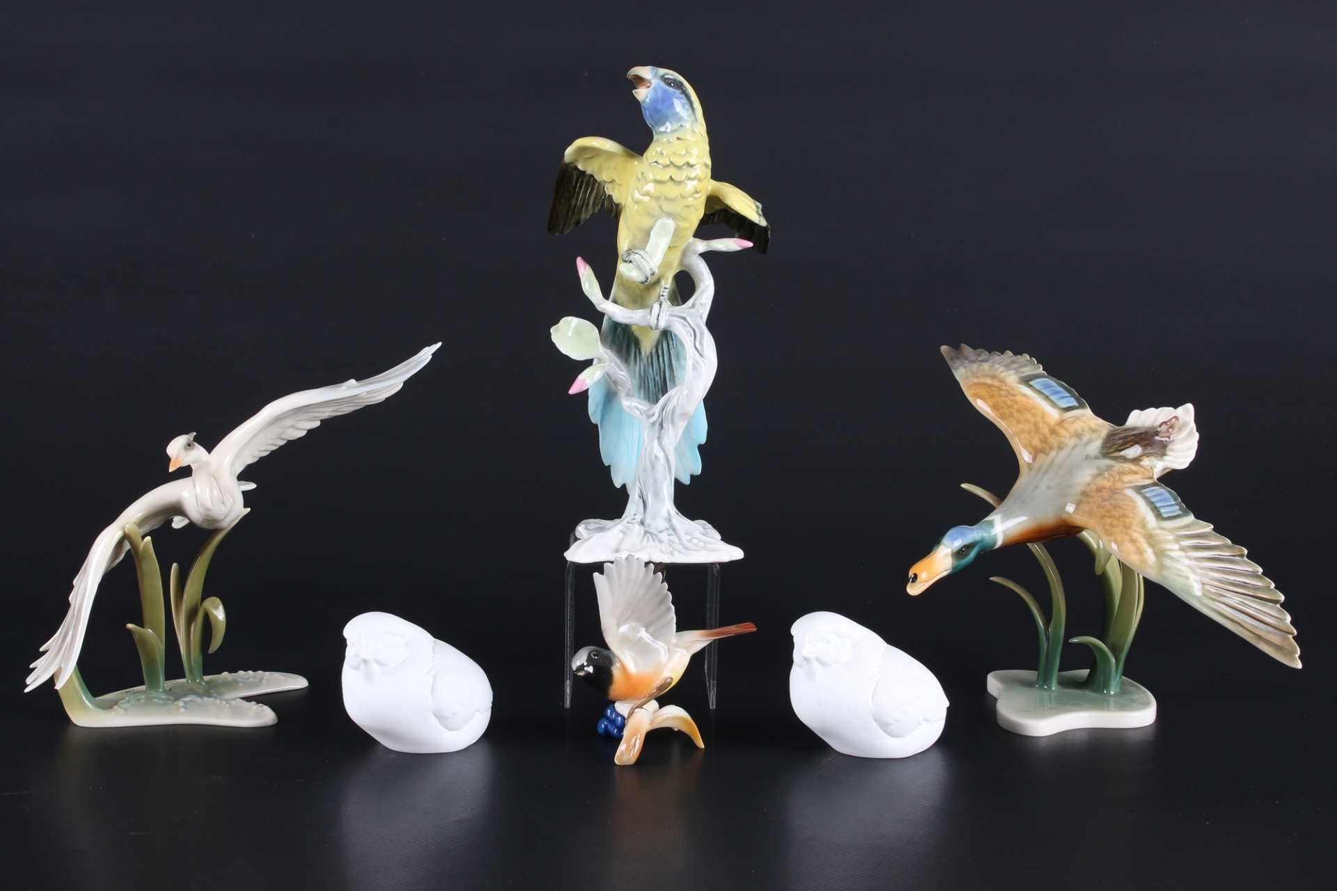 Konvolut Porzellanvögel, porcelain birds,