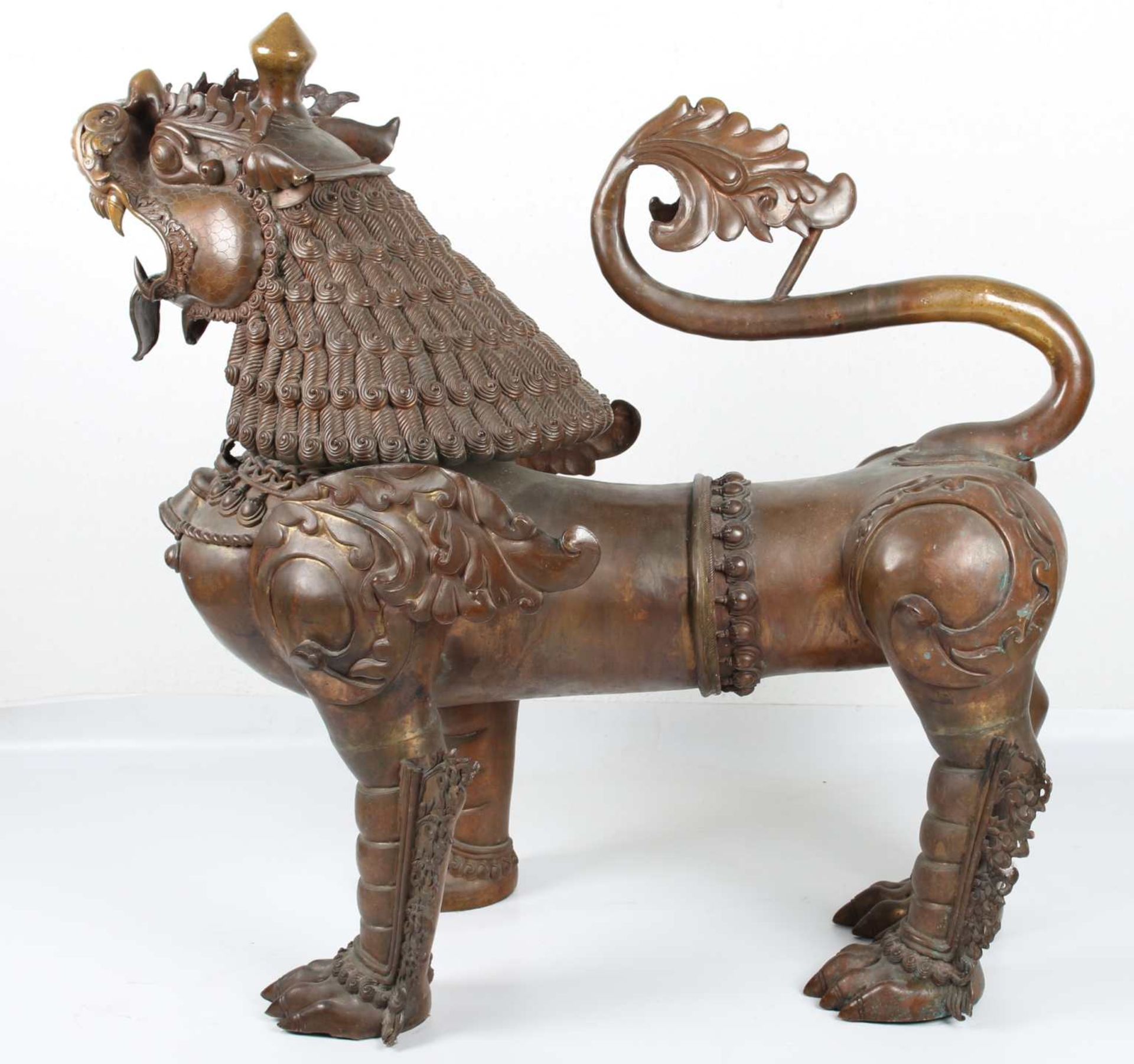 China Bronze riesiger Fu-Hund Wachterlöwe, chinese bronze foo dog, - Bild 3 aus 8