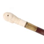 Spazierstock mit Elfenbein Vogelkopfgriff, 19. Jahrhundert, walking cane ivory 19th century,