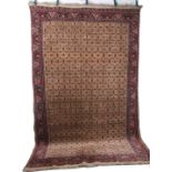 Koliai Teppich, kurdish-persian carpet,