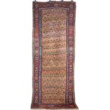 Kurdistan großer Teppich, large kurdish carpet,