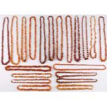 20 Bernsteinketten Amber, necklaces,