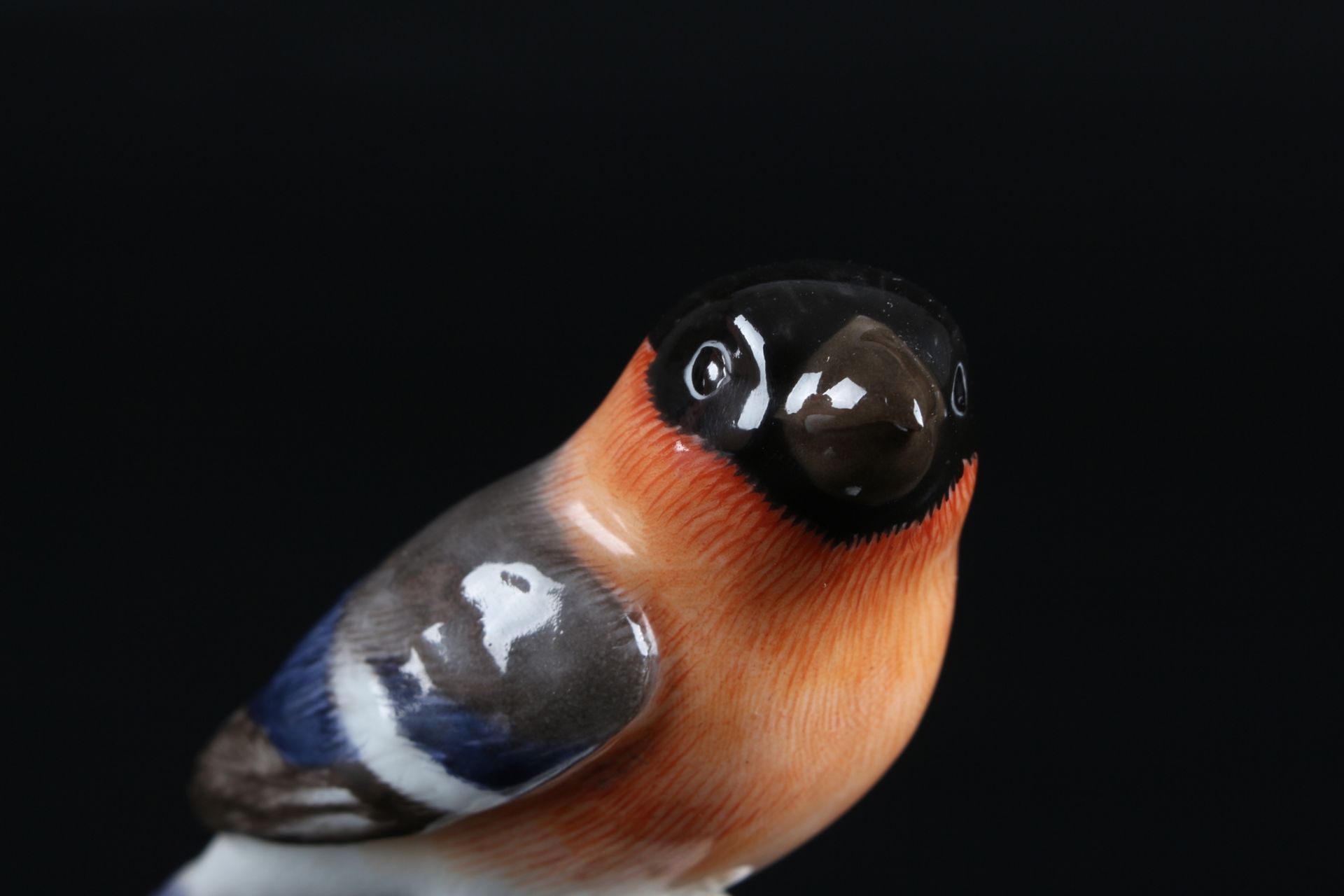 Meissen Blutfink / Gimpel, porcelain bird bullfinch, - Image 5 of 7