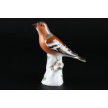Meissen Buchfink, porcelain bird chaffinch,