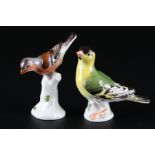 Meissen Zeisig und Buchfink, porcelain bird siskin and chaffinch,