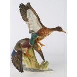 Hutschenreuther Wildentenpaar, figure of two wild ducks,