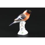 Meissen Blutfink / Gimpel, porcelain bird bullfinch,