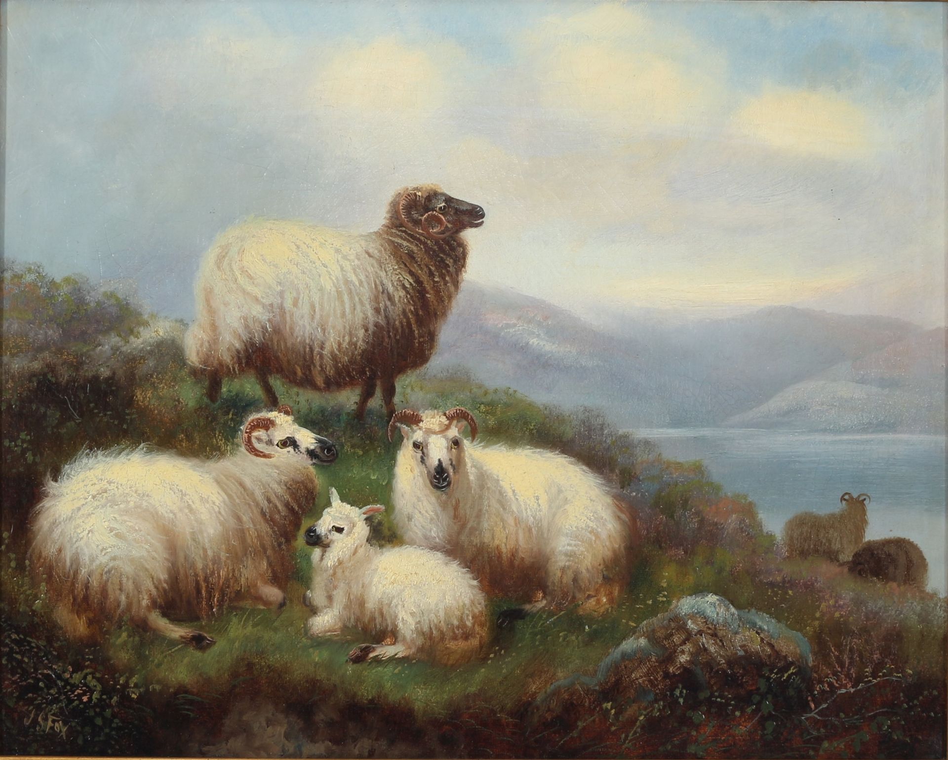 John Shirley Fox (c.1860-1939) Schafe in den Highlands, sheeps,