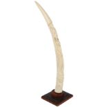 Elfenbeinschnitzerei, Stoßzahn mit Cites, Namibia, elephant tusk ivory,