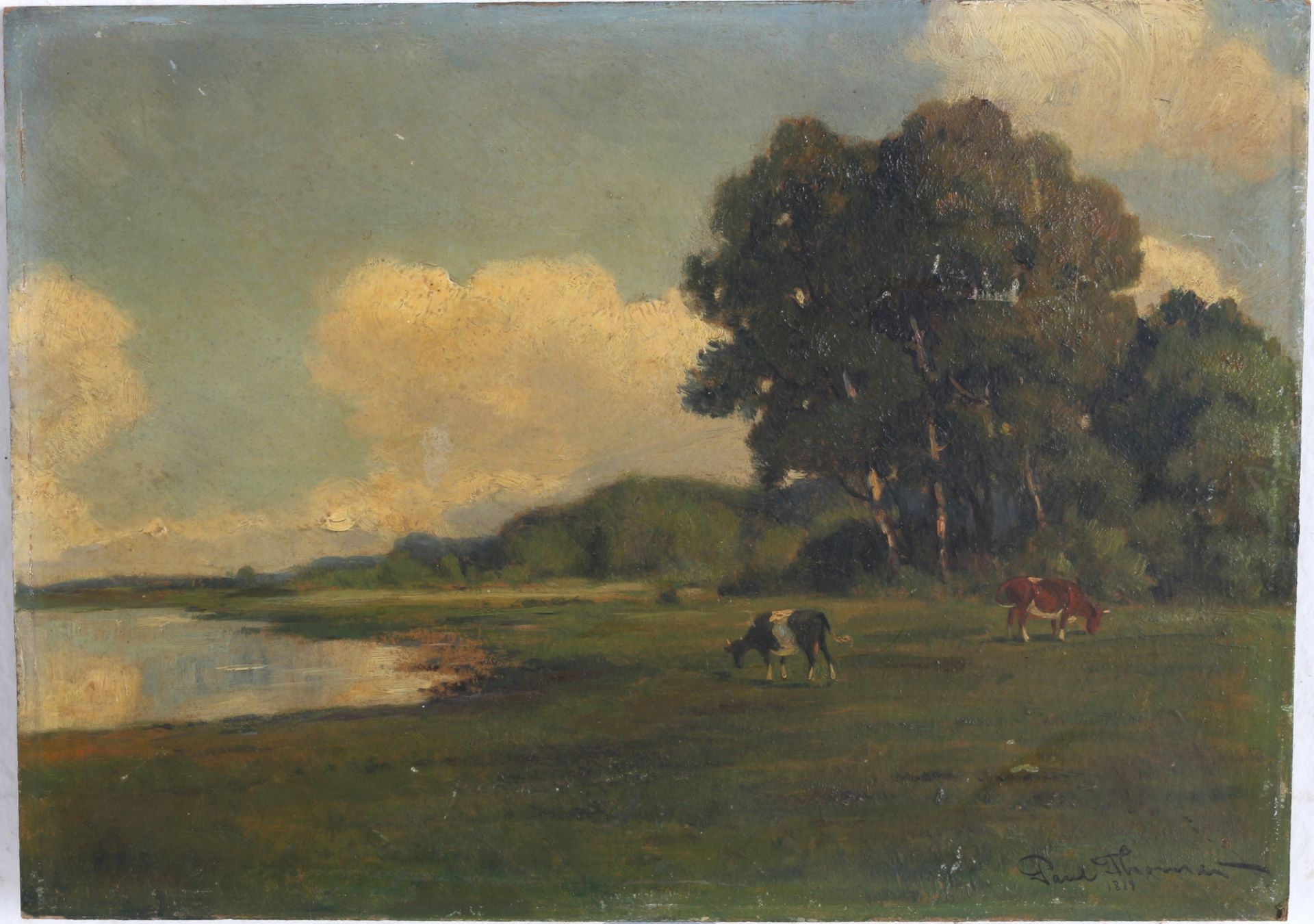 Paul Thomas (1859-1910) Rinder auf Weidelandschaft, cattle at pasture, - Bild 2 aus 4