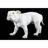 Bing & Gröndahl / Dahl Jensen Bulldogge, bulldog,