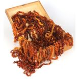 48 Bernstein Halsketten, amber necklaces,