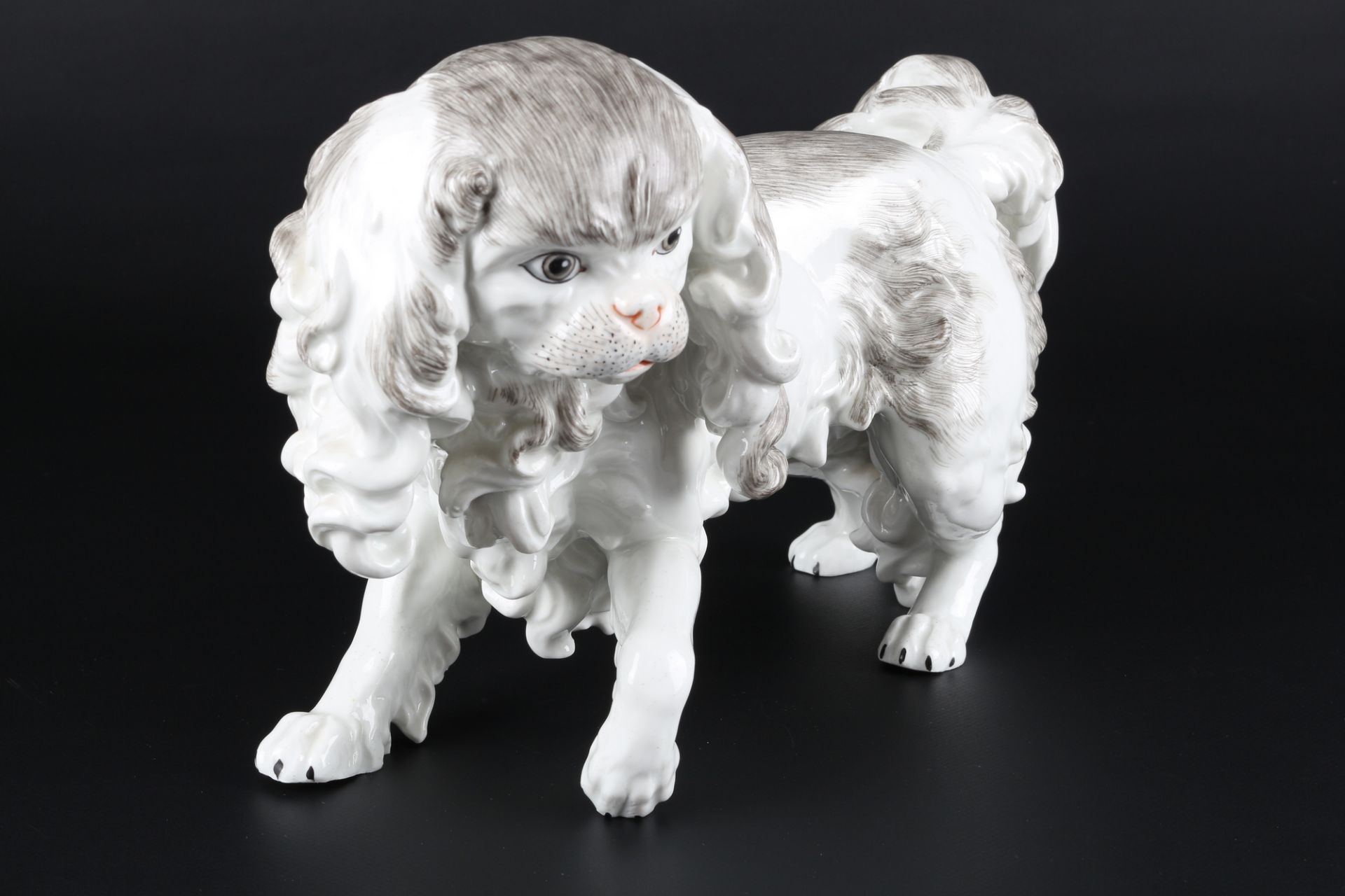 Potschappel Carl Thieme - großer Hund Cavalier King Charles Spaniel, porcelain dog figure, - Image 2 of 5