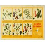 Propaganda Poster Jungle Survival Edible Tropical Plants GB RAF Pilot