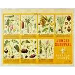 Propaganda Poster Jungle Survival Edible Tropical Plants Polynesia GB RAF Pilot