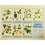 Propaganda Poster Jungle Survival Poisonous Plants Royal Air Force UK