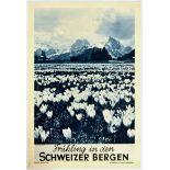 Travel Poster Spring Mountains Switzerland Swiss Railway