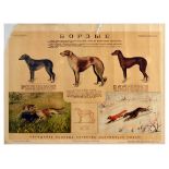 Advertising Poster Russian Borzoi Sighthounds Hunting Dogs Fox Wolf USSR