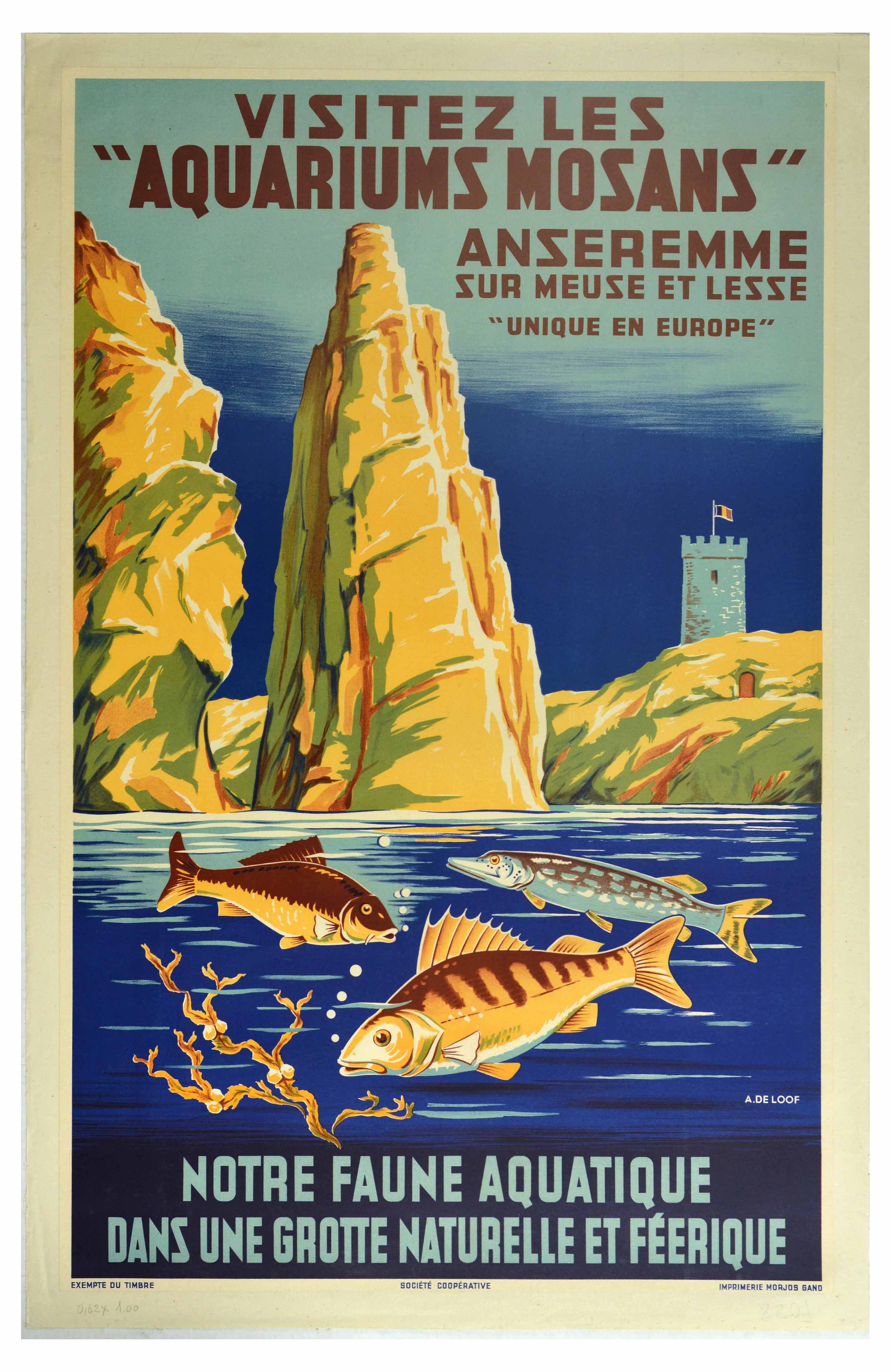 Travel Poster Aquariums Mosans Aquarium Anseremme Belgium