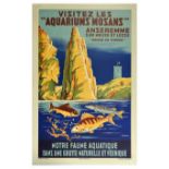 Travel Poster Aquariums Mosans Aquarium Anseremme Belgium