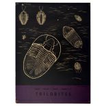 Advertising Poster Trilobites Fossil BBC Radio How Things Began Nature Natural History