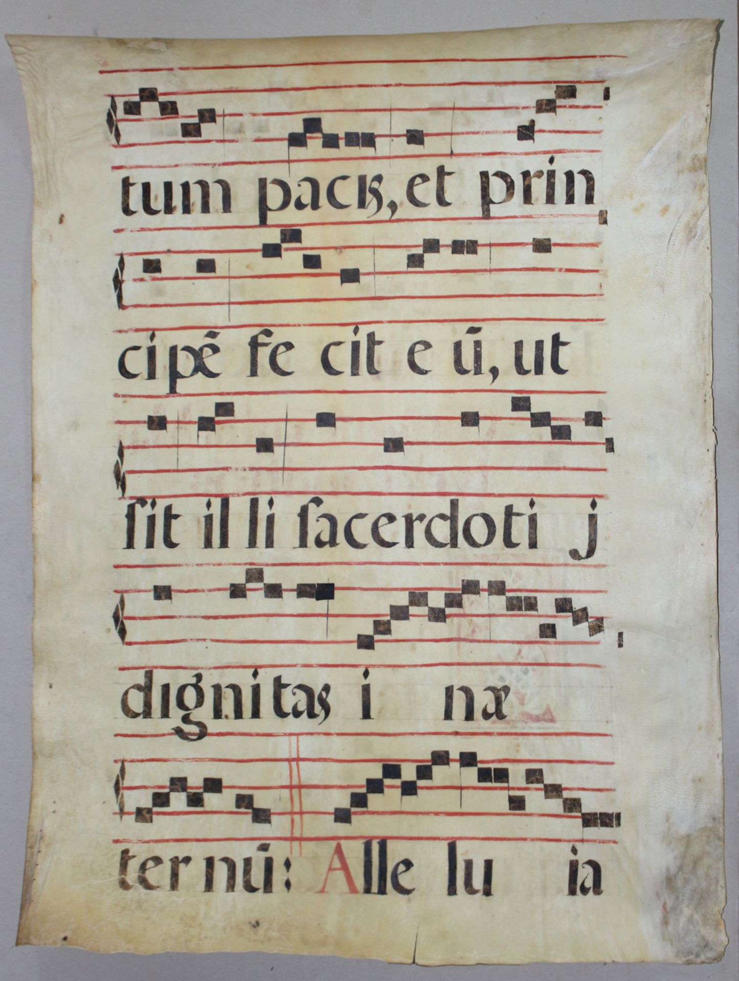 Antiphonar. - Image 2 of 4