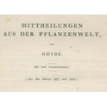 Goethe,J.W.v.