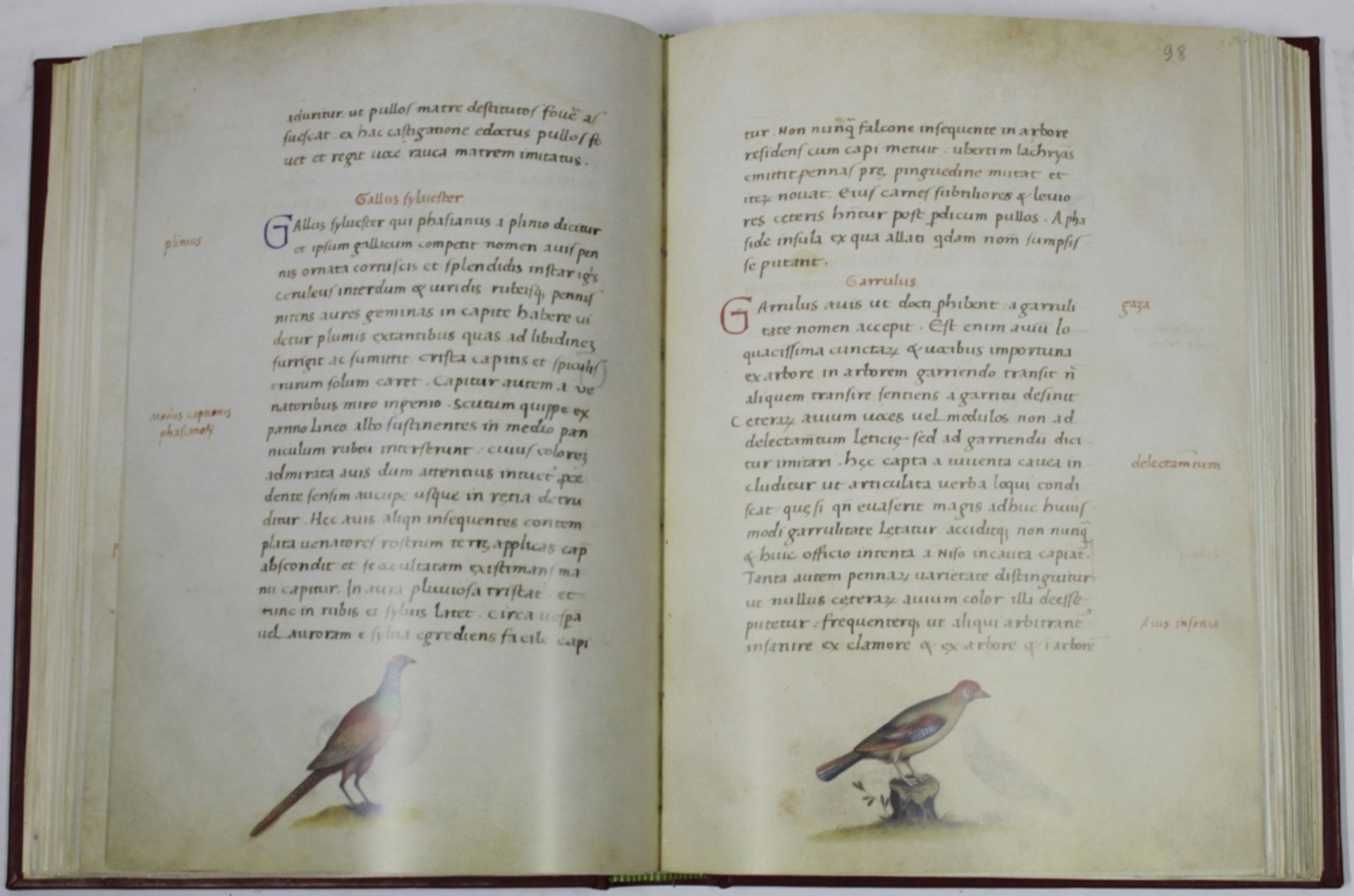 Das Tierbuch des Petrus Candidus. Faksimile der Handschrift Codex Urbinas Latinus 276 aus der - Image 3 of 3