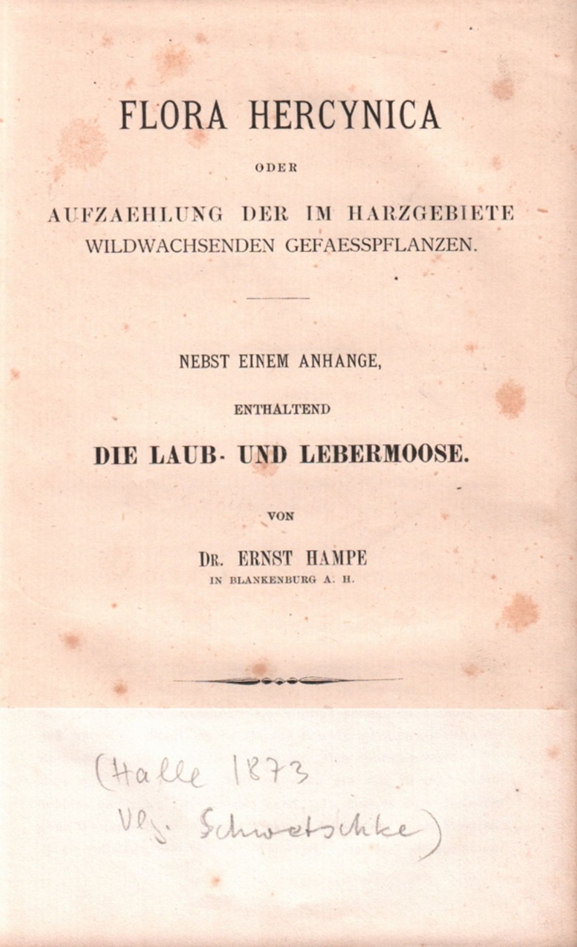 Harz. Hampe, Ernst. Flora Hercynica oder Aufzaehlung der im Harzgebiete wildwachsenden