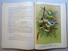 Naumann - Vögel Bde. II und X