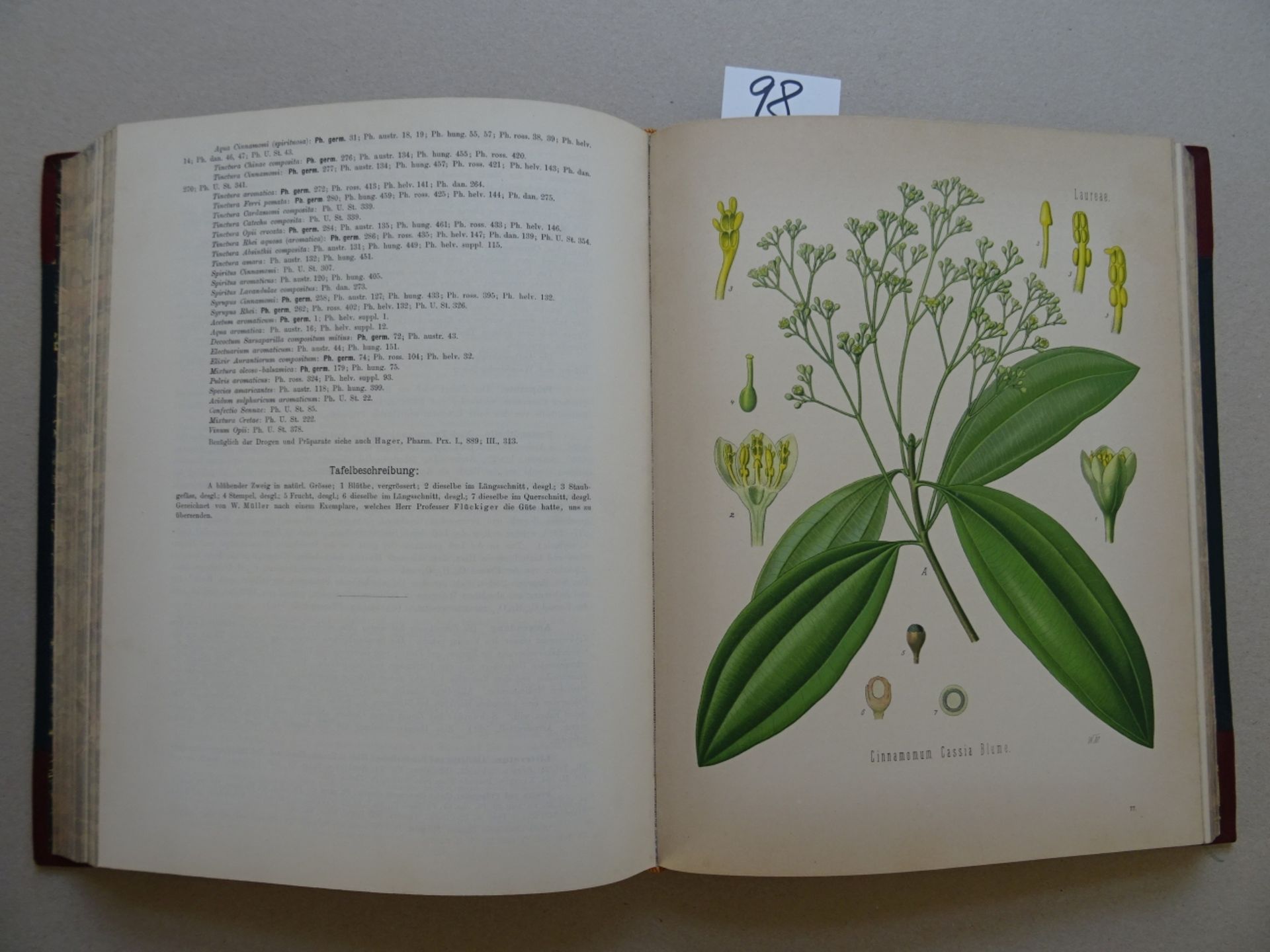 Köhler - Medizinal-Pflanzen 3 Bde. - Image 4 of 8