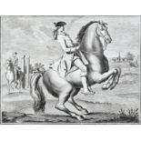 Diderot - Recueil de planches Pferde